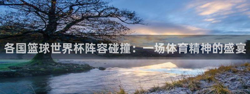 2026年男足世界杯：各国篮球世界杯阵容碰撞：一场体育精神的盛宴