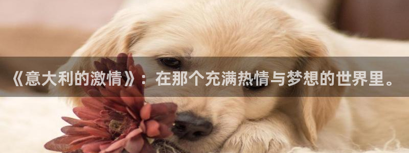 澳门世界杯直播：《意大利的激情》：在那个充满热情与梦想的世界里。
