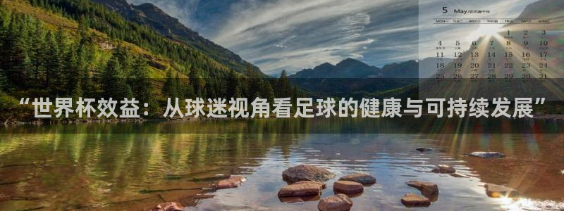世界杯足球2026：“世界杯效益：从球迷视角看足球的健康与可持续发展”