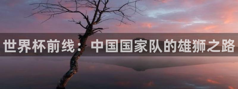 世界杯比赛：世界杯前线：中国国家队的雄狮之路