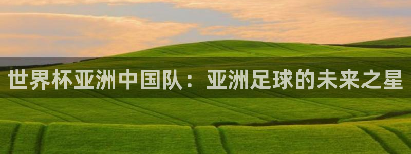 今天所有足球赛程表：世界杯亚洲中国队：亚洲足球的未来之星