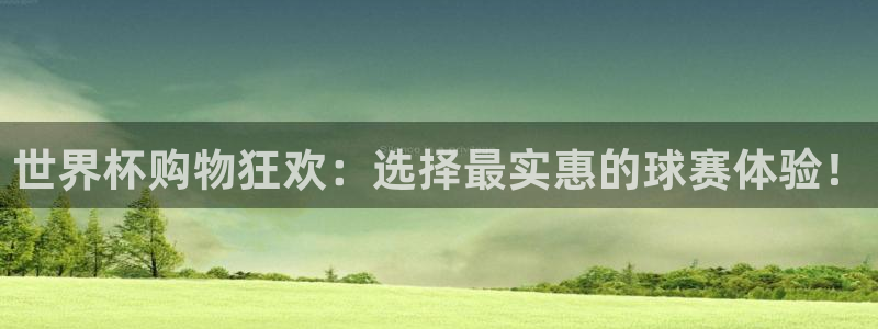 2026世界杯对阵图：世界杯购物狂欢：选择最实惠的球赛体验！