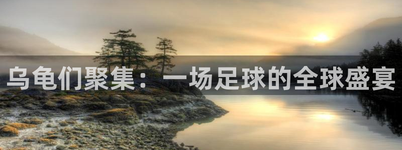 2026世界杯亚洲区预选赛：乌龟们聚集：一场足球的全球盛宴