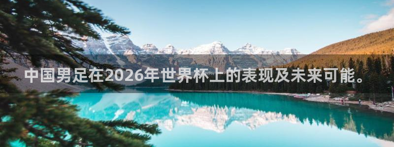 世界杯亚洲区预选赛：中国男足在2026年世界杯上的表现及未来可能。