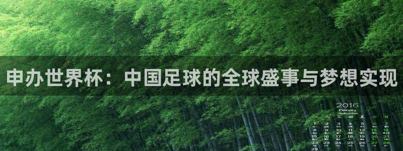 世界杯2026赛程时间表格：申办世界杯：中国足球的全球盛事与梦想实现
