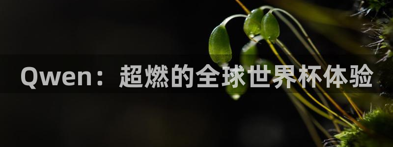世界杯时间：Qwen：超燃的全球世界杯体验