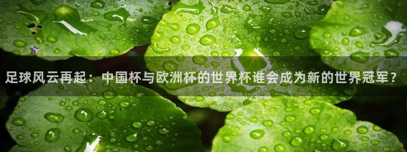 2026世界杯欧洲预选赛赛程表：足球风云再起：中国杯与欧洲杯的世界杯谁会成为新的世界冠军？