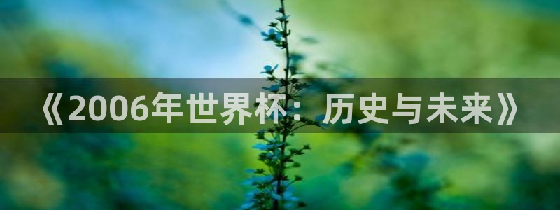 欧洲世界杯预选赛赛程：《2006年世界杯：历史与未来》