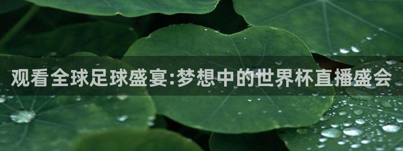 世界杯足球2026：观看全球足球盛宴:梦想中的世界杯直播盛会